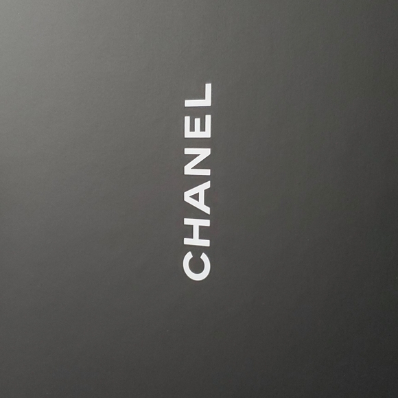 Chanel Classic Flap Large Pouch - Picture 1 of 9